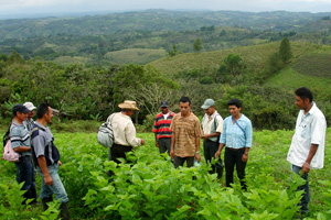 RedEamérica :: Los Nodos de la Red consolidaron sus acciones en 2012