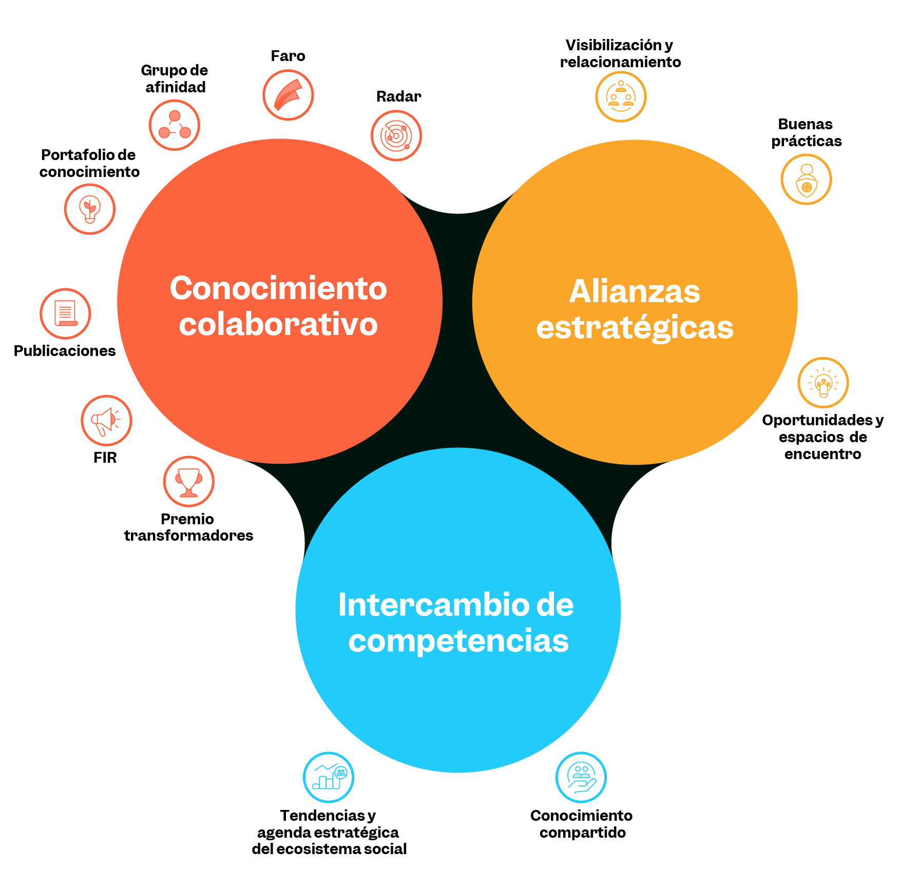 Oportunidades de crecimiento